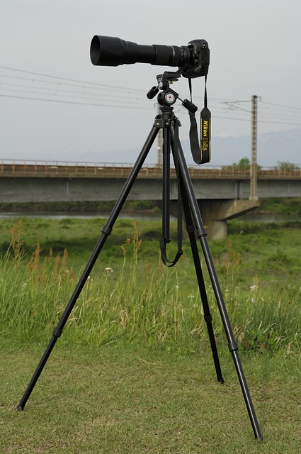 レビュー】タムロンの150-600mmズームレンズを購入: Digital レビュー】タムロンの150-600mmズームレンズを購入: Digital