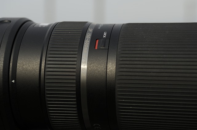 レビュー】タムロンの150-600mmズームレンズを購入: Digital レビュー】タムロンの150-600mmズームレンズを購入: Digital